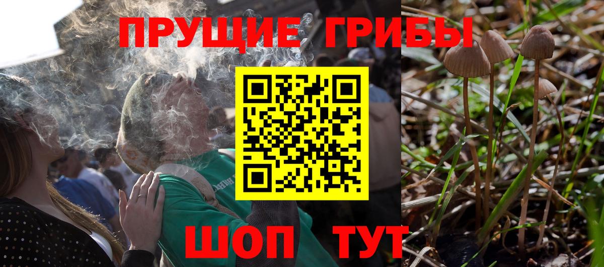 Галлюциногенные грибы GOLDEN TEACHER Озёры