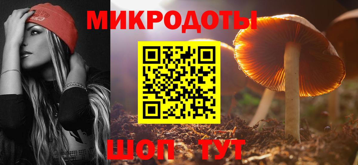 Псилоцибиновые грибы Cubensis  Вход с VPN  Озёры 
